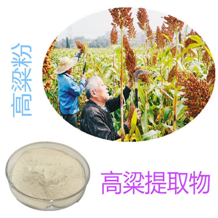 斯諾特生物 深耕植物提取物研發，以高粱提取物為核心打造健康產品矩陣