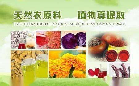 河北板塊異軍突起 九只上市公司股價翻番，植物提取物研發成新熱點