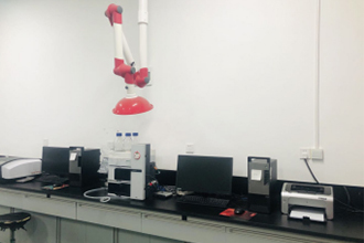 植物提取物研發 從天然寶藏到高價值產品的創新之路